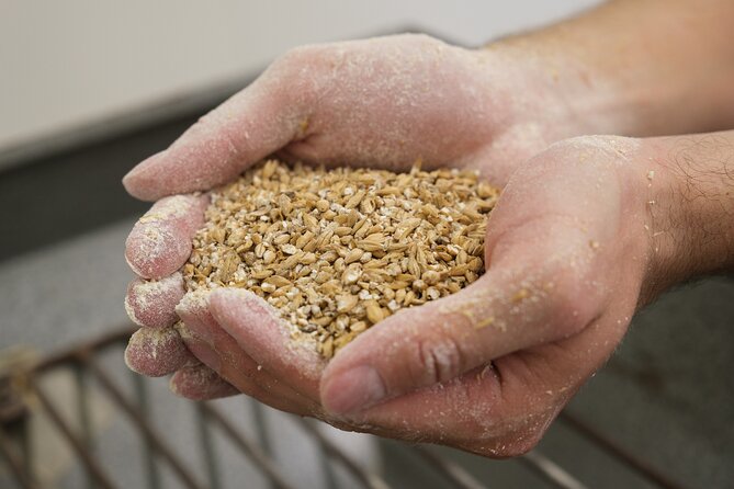 Agricultural Brewery Tour in the Roman Countryside - Where the tour starts: Podere 676 near Fiumicino