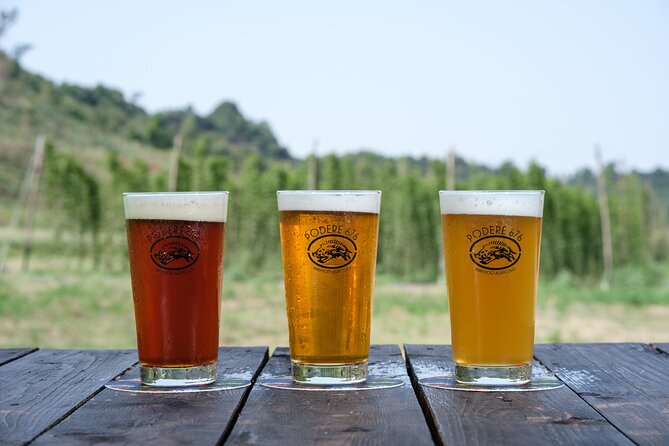 Agricultural Brewery Tour in the Roman Countryside - The host and the vibe: friendly, family-run, and professional