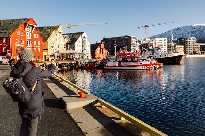 Brews and Views City Walking Tour in Tromsø with Beer Tasting - Price and Logistics: How This Tour Sets You Up