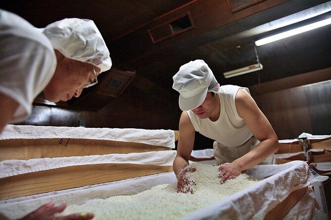Private Sake Brewery Visit and Tasting Tour in Hida - The step-by-step brewing walkthrough (and why your questions matter)