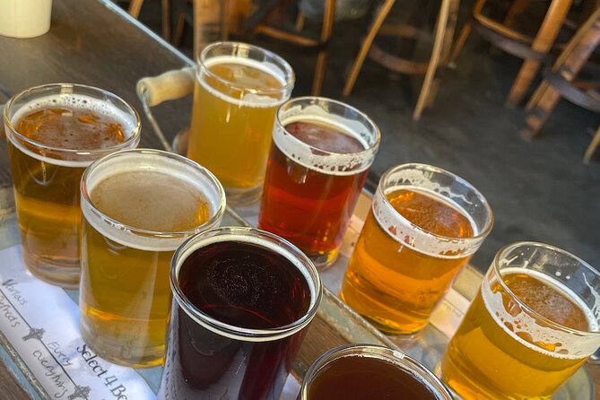 Private San Diego Beer Tasting Tour - Key highlights you’ll care about