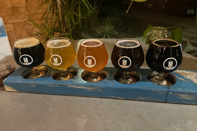 Private San Diego Beer Tasting Tour - San Diego Beer Touring, Without the Driving Math