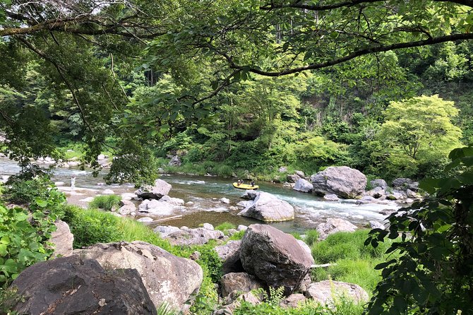 Private Tour: Tokyo's Oldest Sake Brewery and Riverside Walk - Price and logistics: is $229.95 actually a good deal?