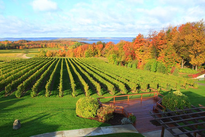 Private Traverse City Winery or Brewery Tour - Timing reality: 4 hours with multiple stops can feel fast