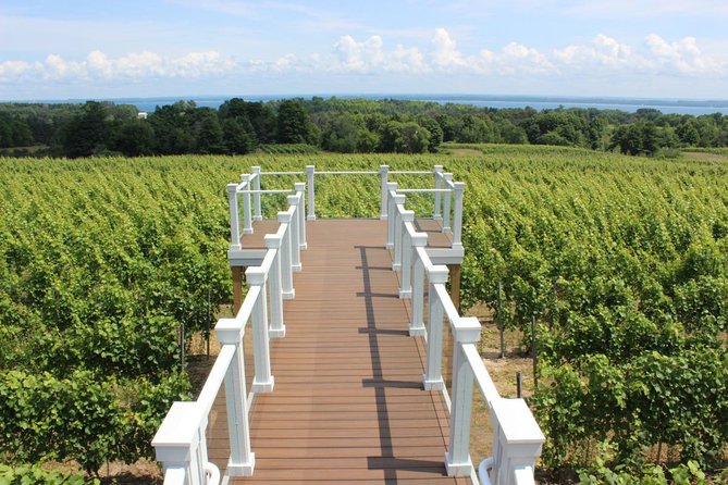 Private Traverse City Winery or Brewery Tour - Drinks, cooler logistics, and responsible planning