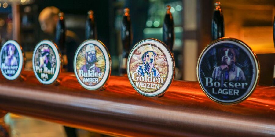 Wroclaw: Guided Tour & Beer Tasting (2 hours) - Elizabeth’s Church, Engler Organ, and the quick culture stops