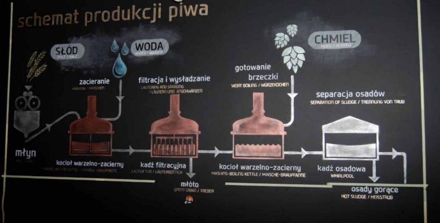 Wroclaw: Guided Tour & Beer Tasting (2 hours) - Microbrewery visit and beer tastings: how the paid part works