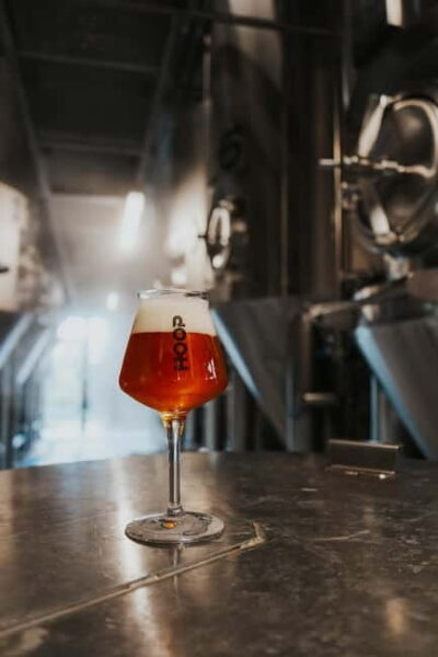 Zaanse Schans: Brewery HOOP Tour and Tasting - How the 1-hour HOOP tour and tasting actually runs